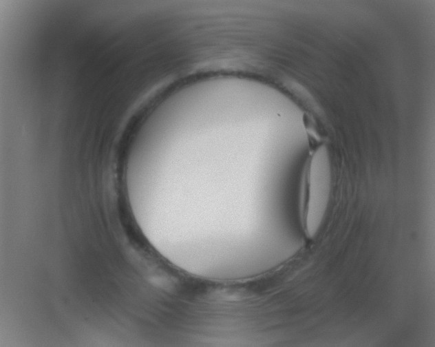 X0000081290680200702082019