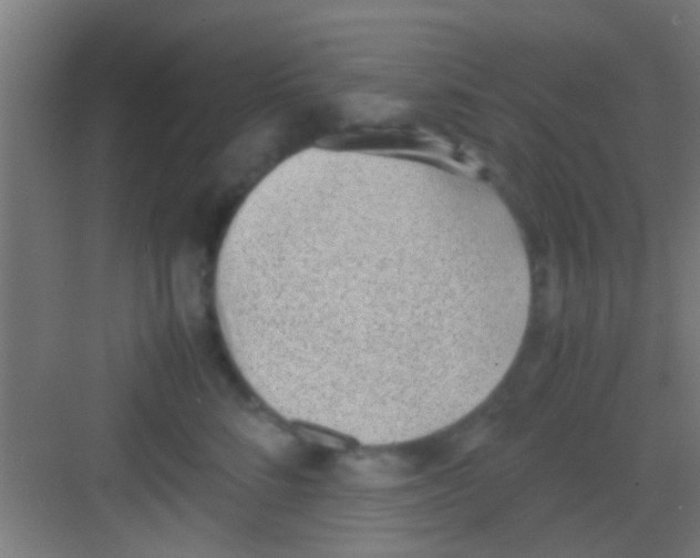 X0000081290712200702082019