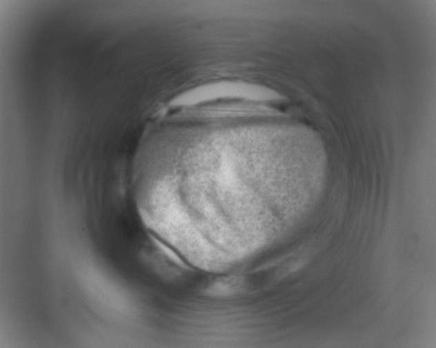 X0000081290720200702082018