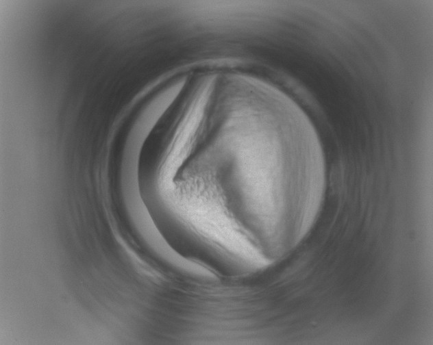 X0000081290722200702082018