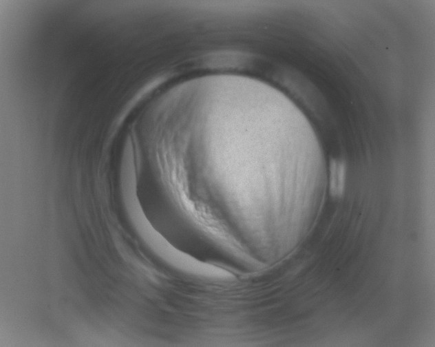 X0000081290723200702082018