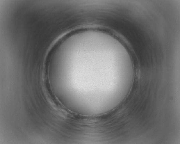 X0000081290724200702082018