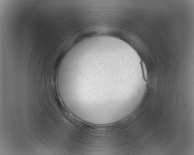 X0000081290740200702082018