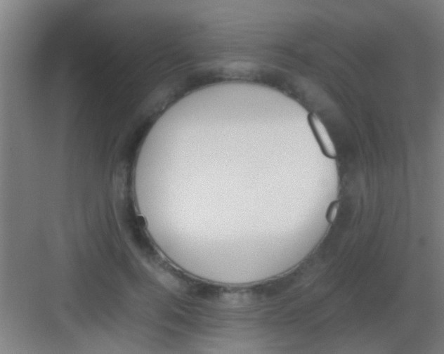 X0000081290744200702082018