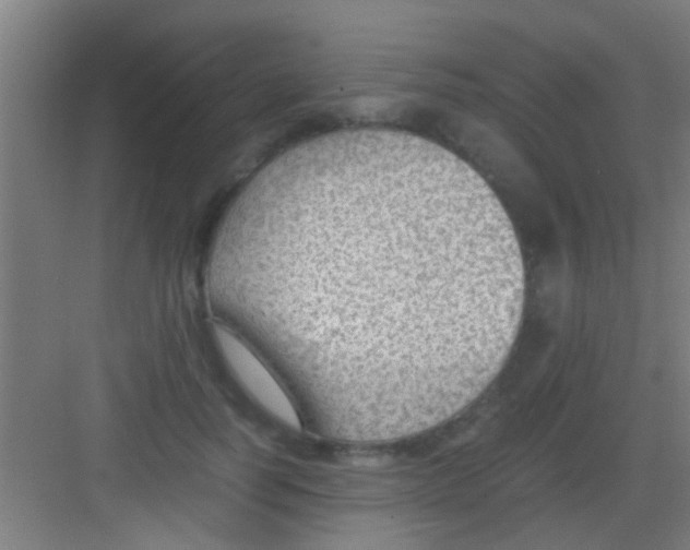 X0000081290746200702082018