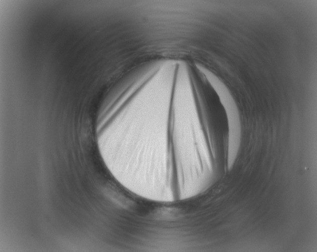 X0000081290748200702082018