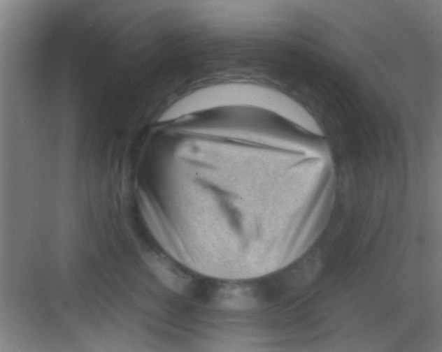 X0000081290760200702082018