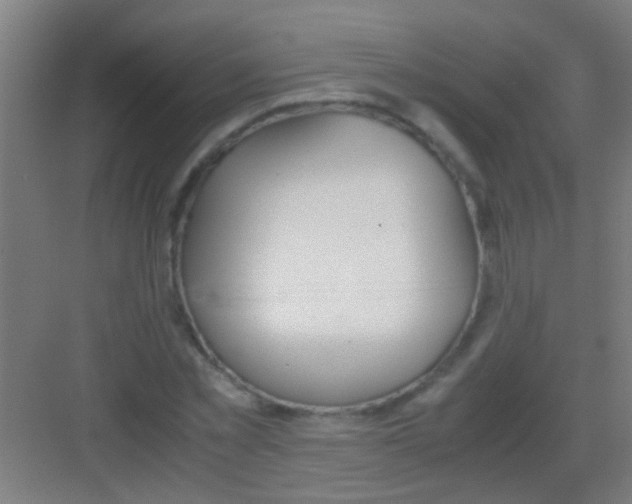 X0000081290781200702082017
