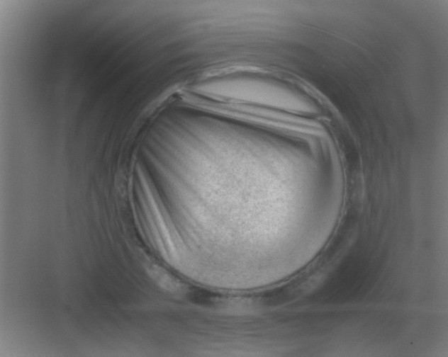 X0000081290785200702082017