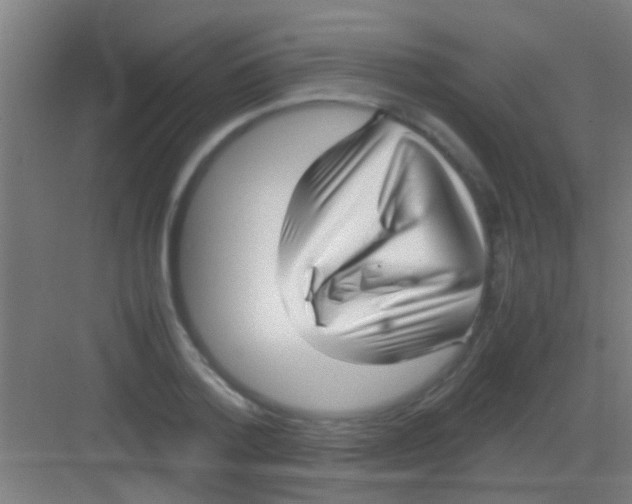 X0000081290788200702082017