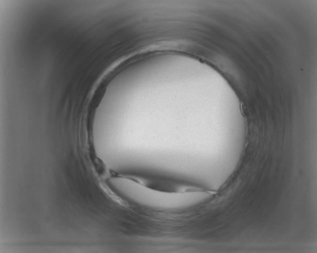 X0000081290792200702082017