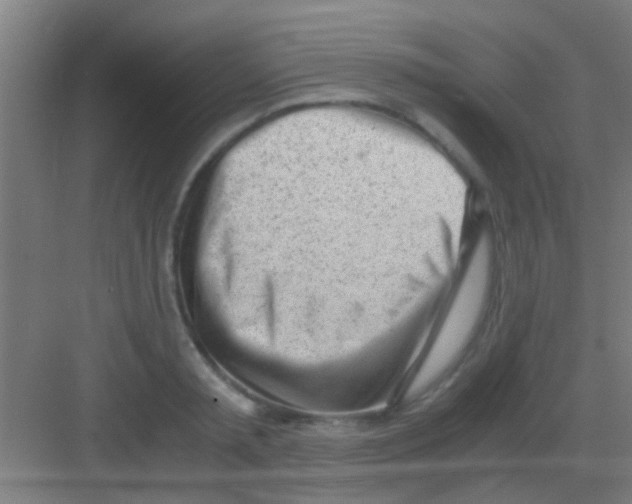 X0000081290797200702082017
