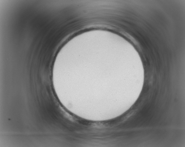 X0000081290799200702082017
