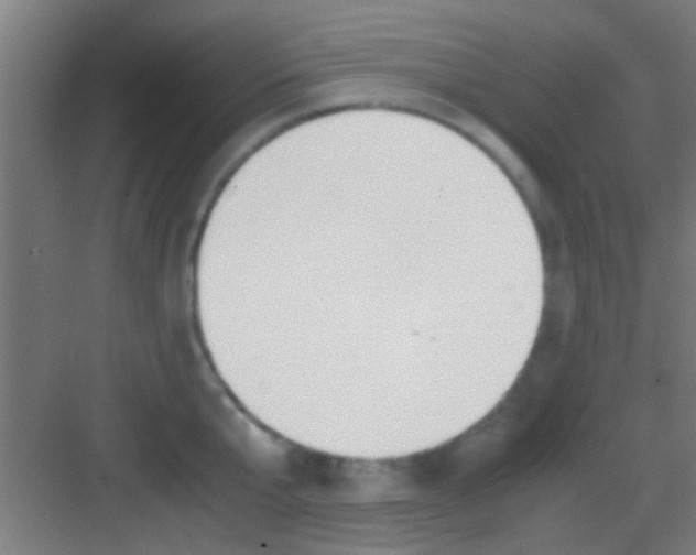 X0000081290807200702082017