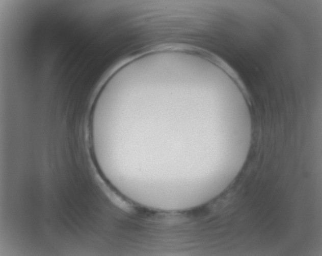 X0000081290811200702082017