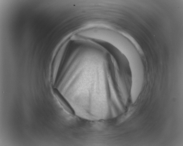 X0000081290815200702082017