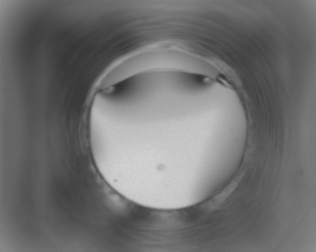 X0000081290816200702082017