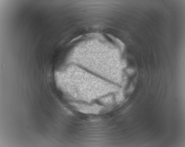 X0000081290818200702082016