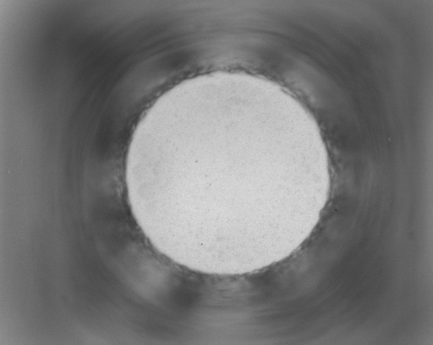 X0000081290824200702082016