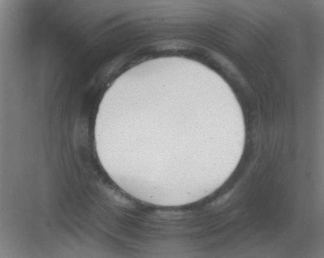 X0000081290825200702082016