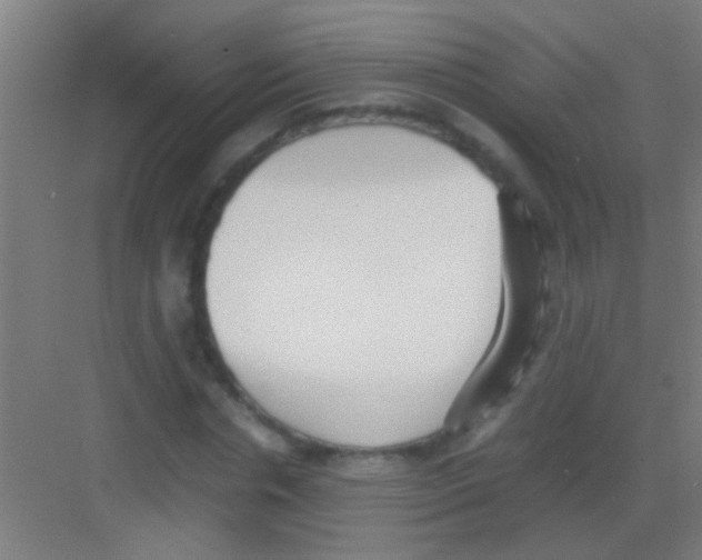 X0000081290826200702082016