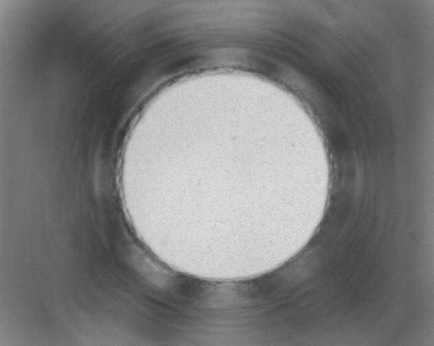 X0000081290828200702082016
