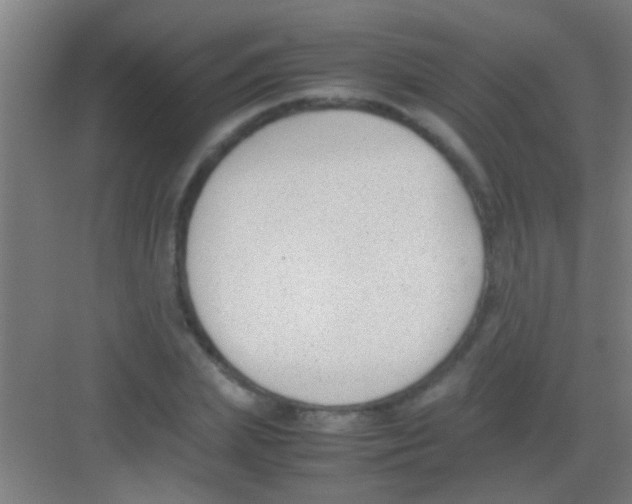 X0000081290831200702082016