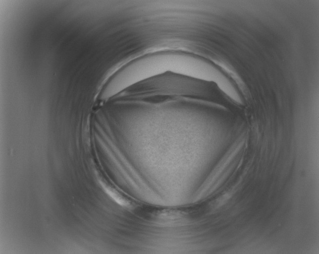 X0000081290842200702082016
