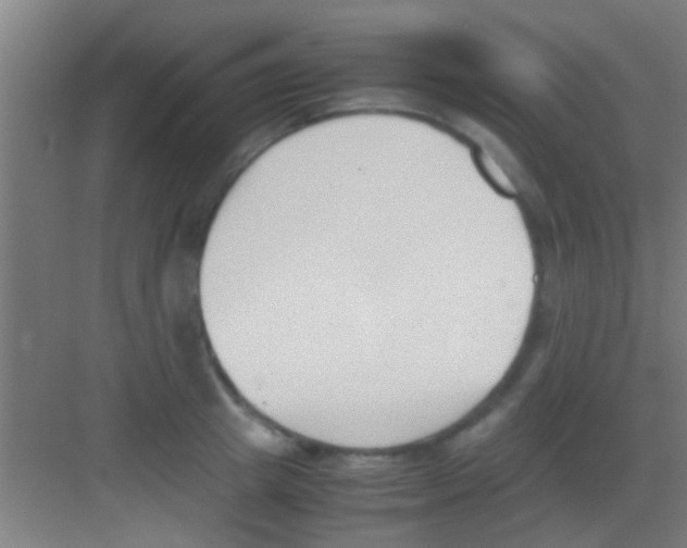 X0000081290849200702082017