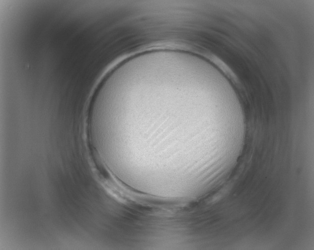 X0000081290854200702082017