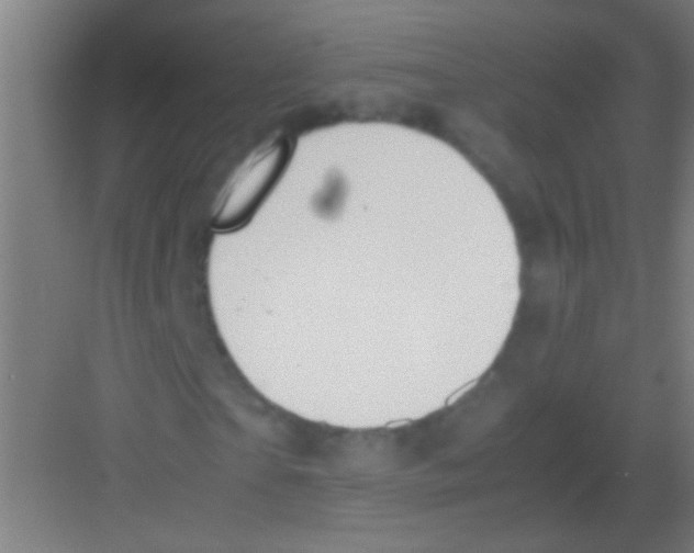 X0000081290865200702082016