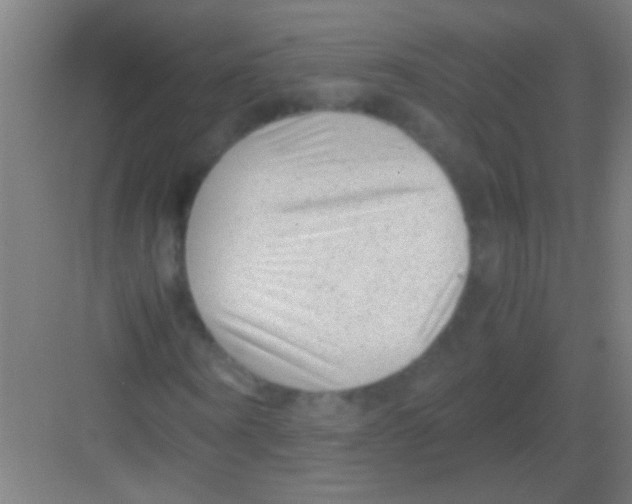 X0000081290866200702082016