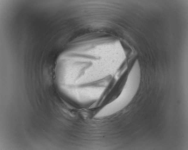 X0000081290868200702082016