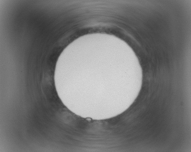 X0000081290869200702082016