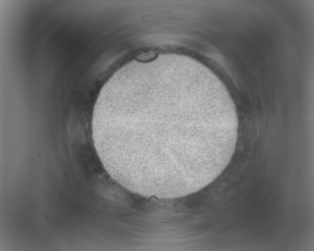 X0000081290871200702082016