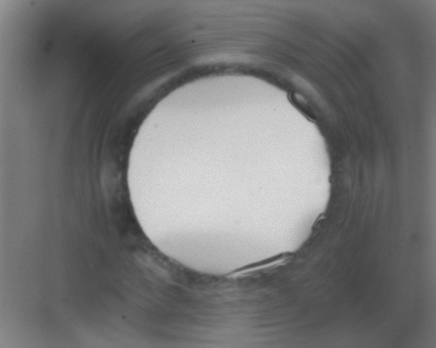 X0000081290872200702082016