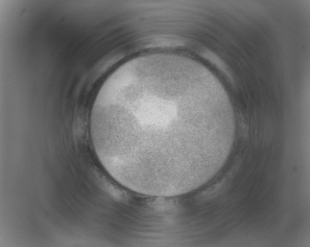 X0000081290874200702082016