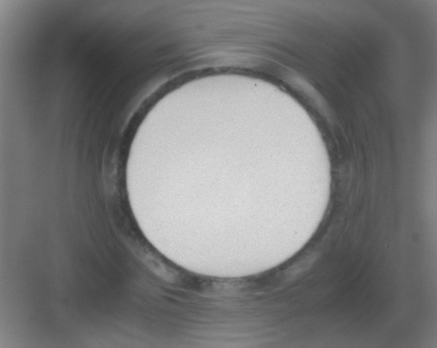 X0000081290875200702082016