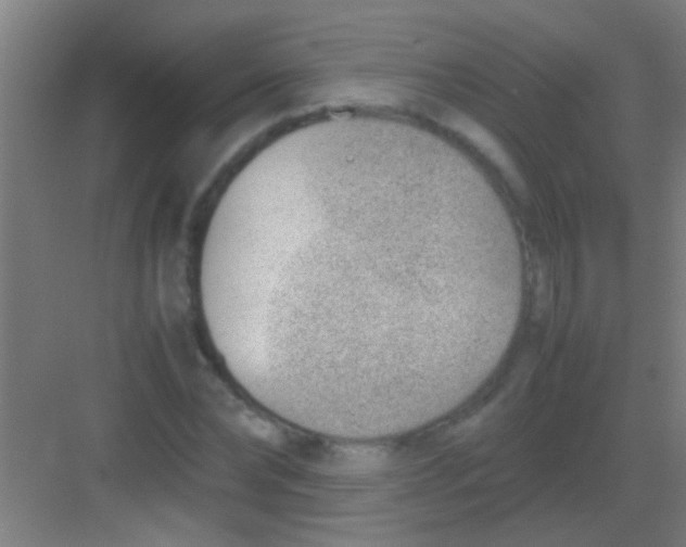 X0000081290878200702082016