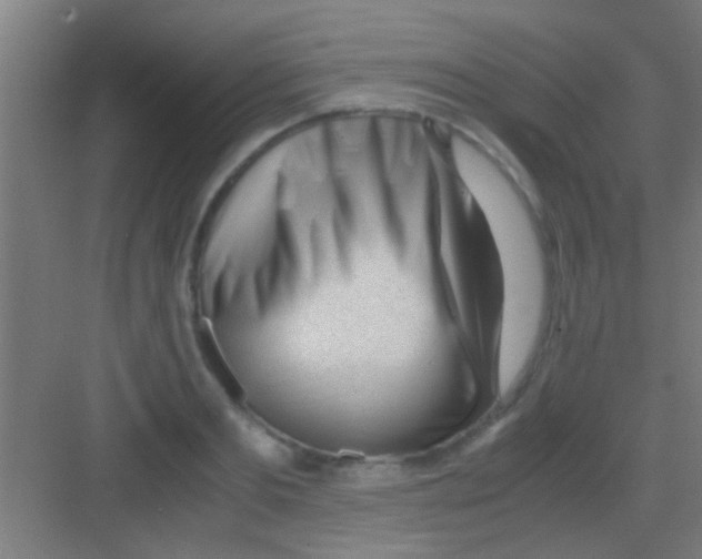 X0000081290893200702082016