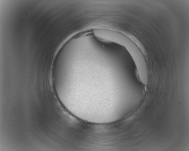 X0000081290904200702082015