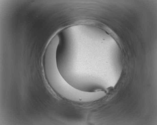 X0000081290907200702082015