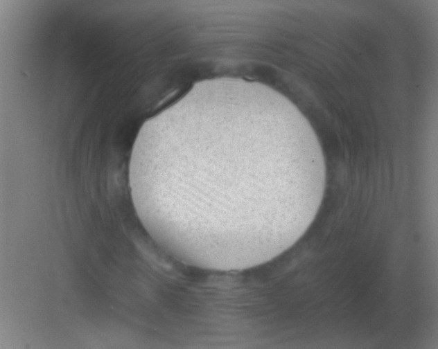 X0000081290914200702082014