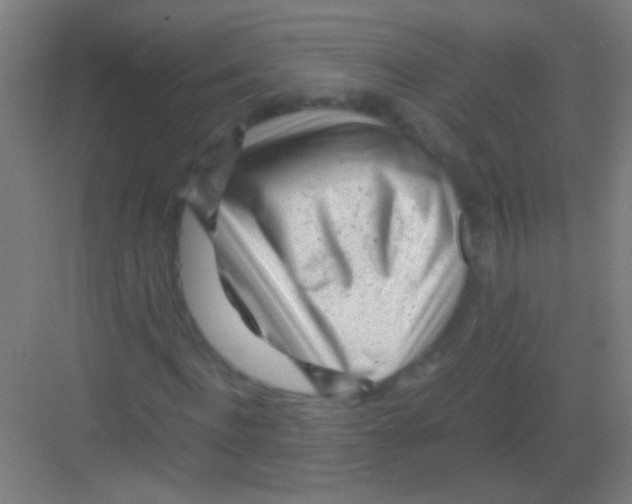 X0000081290916200702082014
