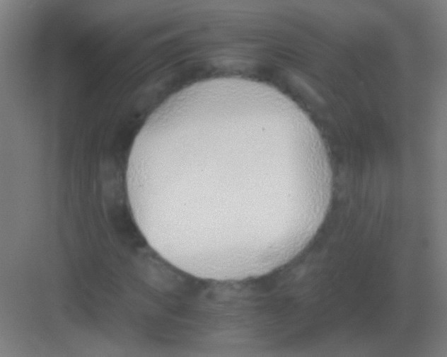 X0000081290917200702082014