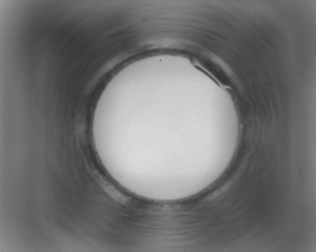 X0000081290922200702082015