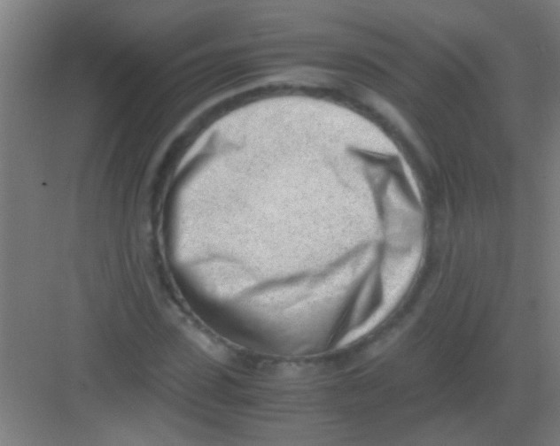 X0000081290923200702082015