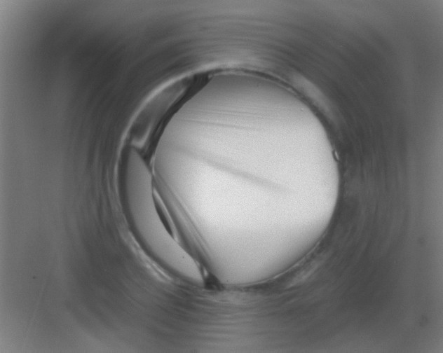 X0000081290932200702082015