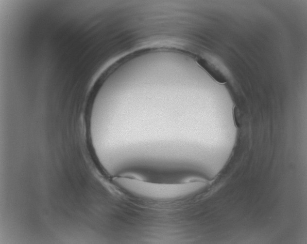 X0000081290936200702082015