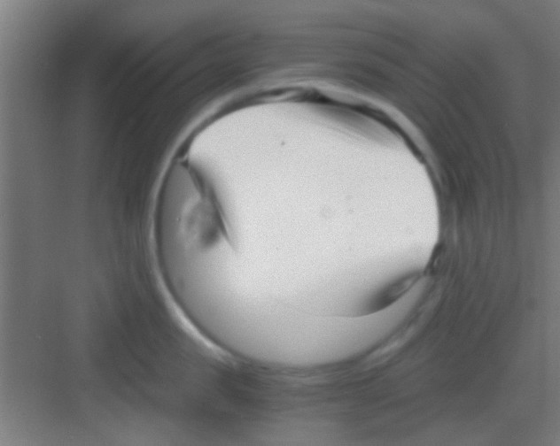 X0000081290957200702082015